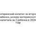 Материнский капитал за второго ребенка, размер материнского капитала за 2 ребенка в 2026 году